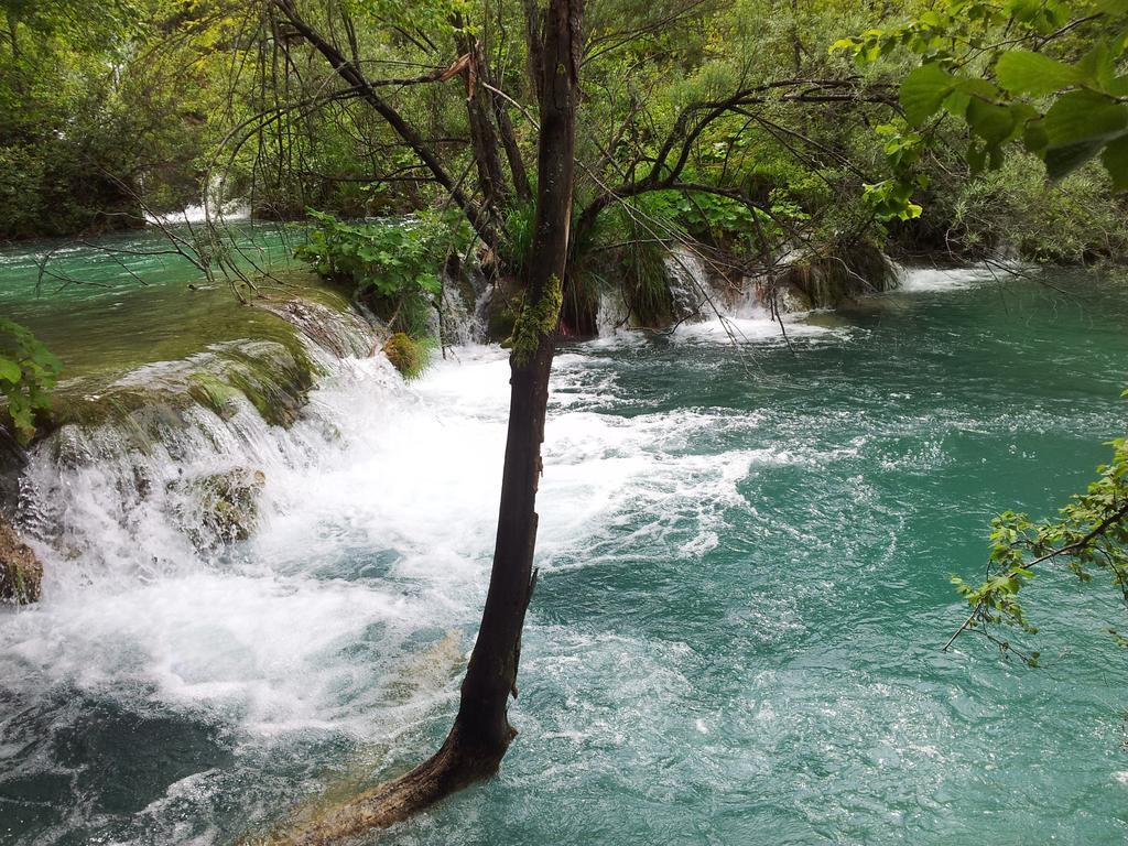 Guest House Family Varda Plitvice Lakes พลิตวิชกา เยเซรา ภายนอก รูปภาพ